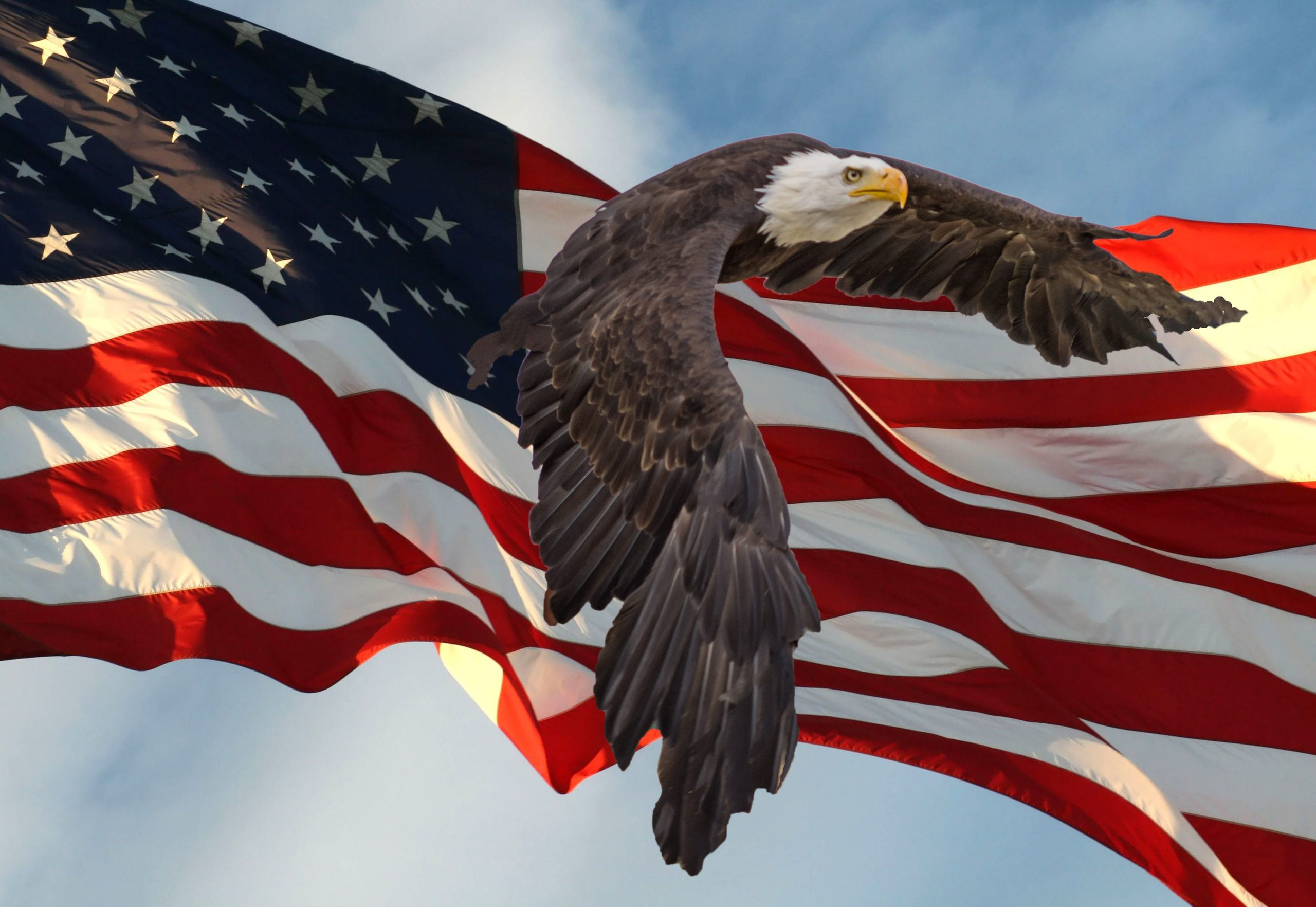 The 14 No Tolerance Acts: The Non-Negotiable Blueprint to Save the Republic